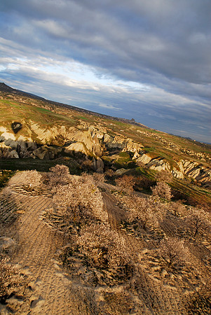 _SKB9862_2.jpg