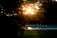 SusannahBothePhoto_1444