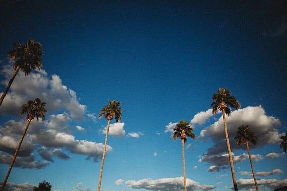 SusannahBothe_7727