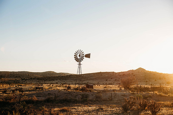 Loner // Albuquerque, NM // 2024