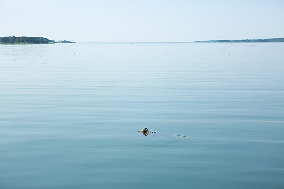 Minimalist // Boothbay, ME // 2016